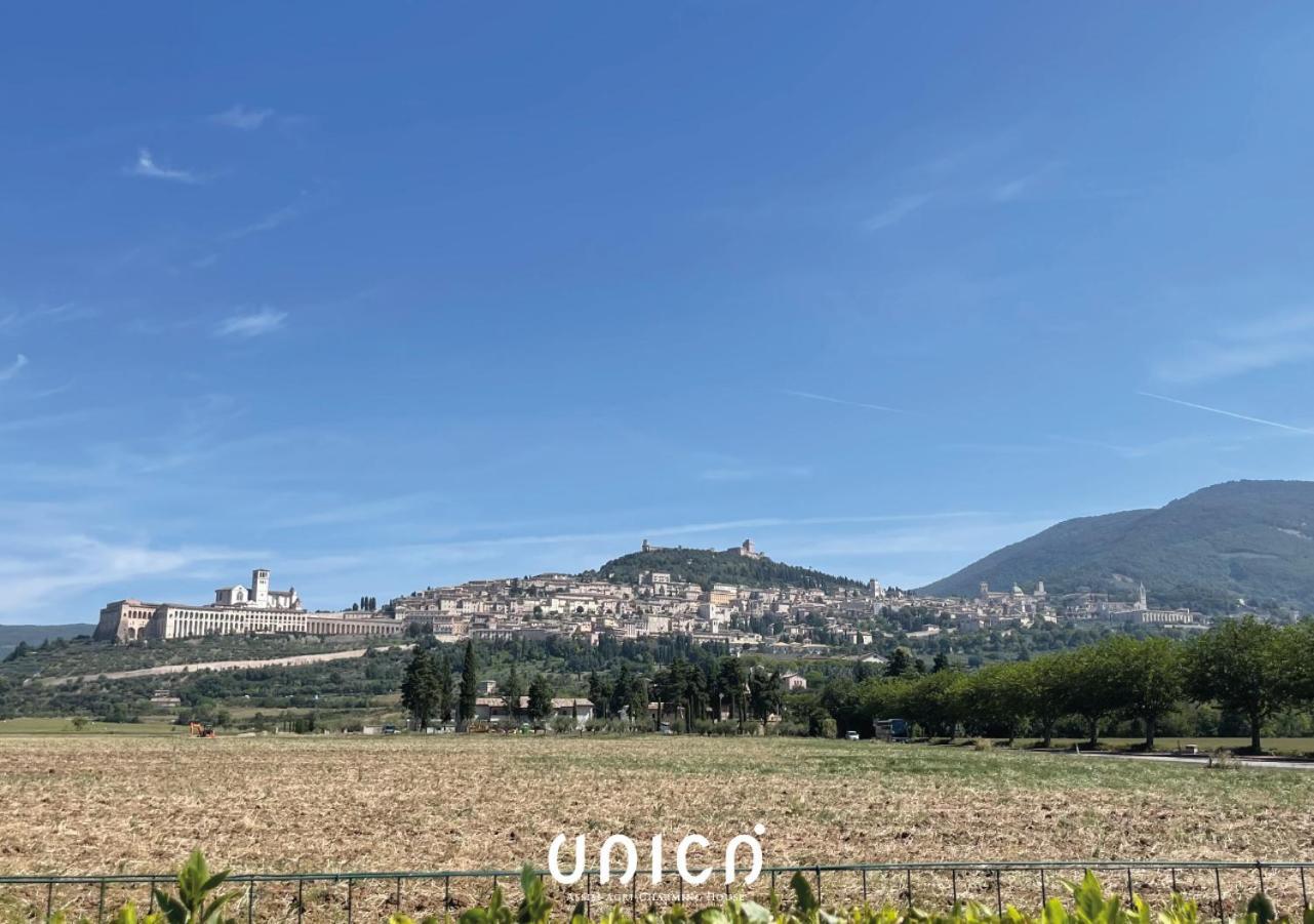 Unica Assisi Agri-Charming House Bed & Breakfast Exterior foto